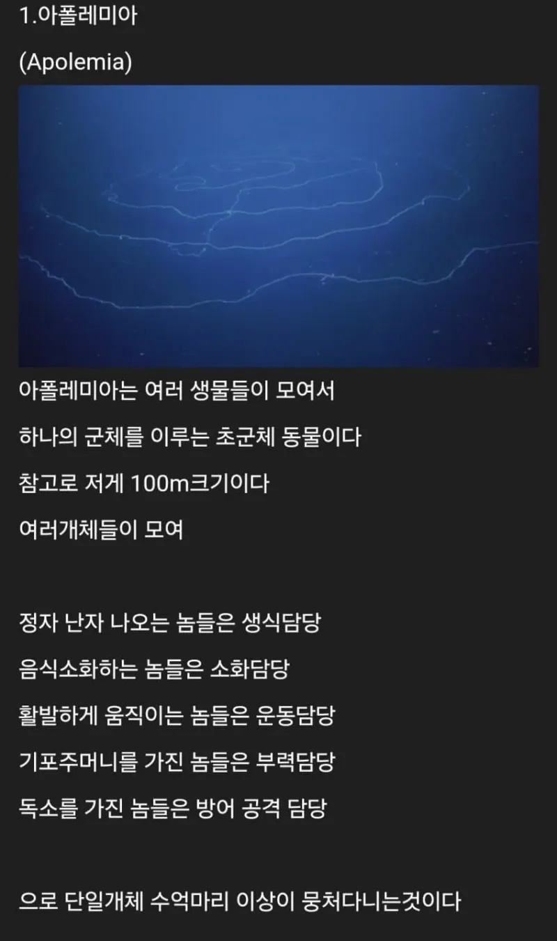 세계에 존재하는 신기한 생물들_1.webp