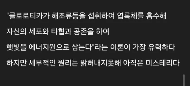 세계에 존재하는 신기한 생물들_6.webp