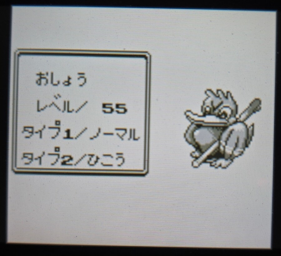 VC 포켓몬 그린 클리어 멤버_2.jpg