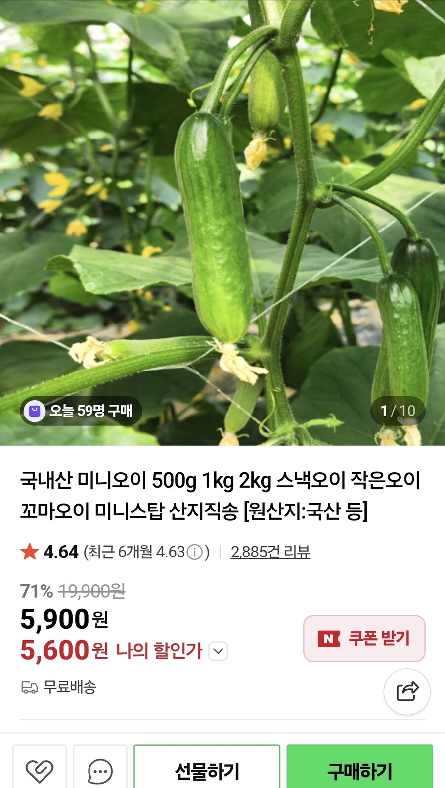 [네이버]국내산 미니오이 500g (5,900/무배)_1.jpg