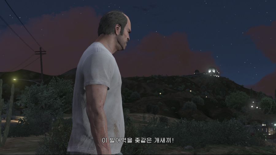 GTA 5_3.jpg