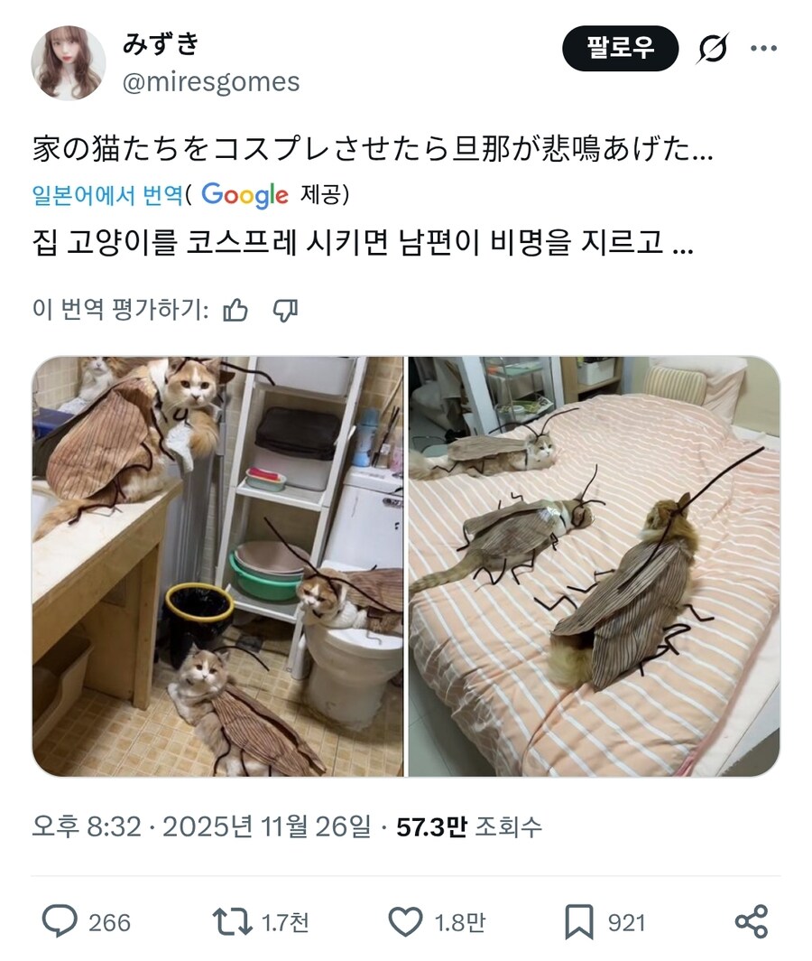 집에 돌아온 남편이 비명을 질렀던 이유_1.jpg