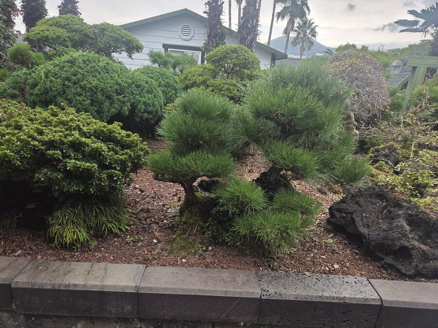 제주도 3박 4일 패키지 여행 다녀왔습니다._21.jpg