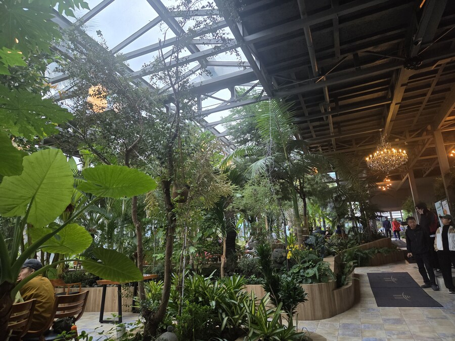 제주도 3박 4일 패키지 여행 다녀왔습니다._31.jpg