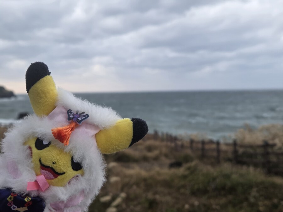 제주도 3박 4일 패키지 여행 다녀왔습니다._34.jpg