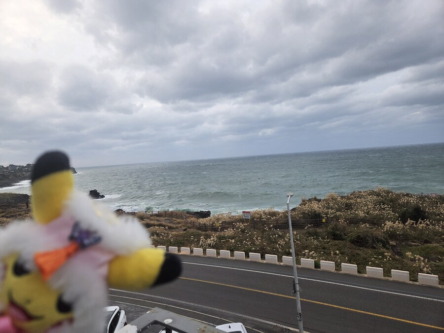 제주도 3박 4일 패키지 여행 다녀왔습니다._35.jpg