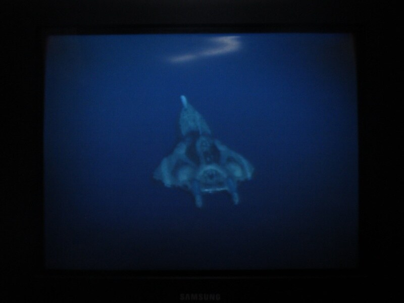 청의 6호 안타티카 (4)_21.jpg