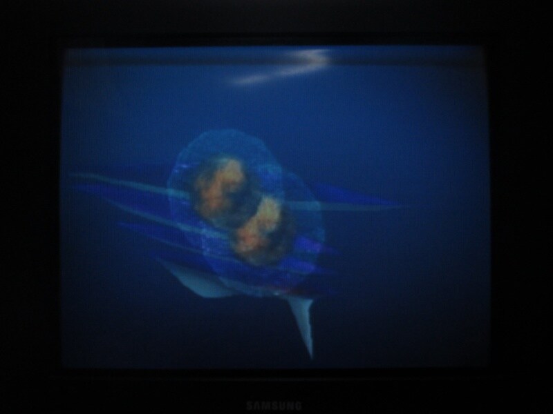 청의 6호 안타티카 (4)_24.jpg