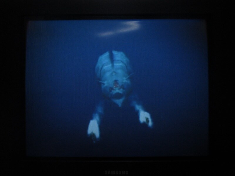 청의 6호 안타티카 (4)_25.jpg