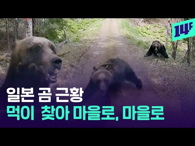 “이제 일본은 ‘명견 실버’가 와도 안됨”.jpg_2.jpg