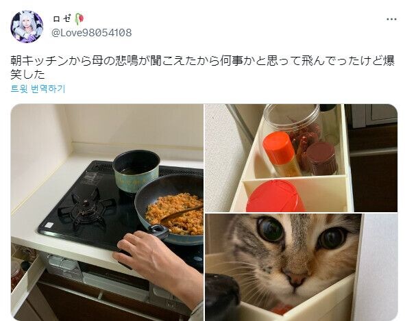 부엌에서 어머니가 비명을 지르신 이유_1.jpg