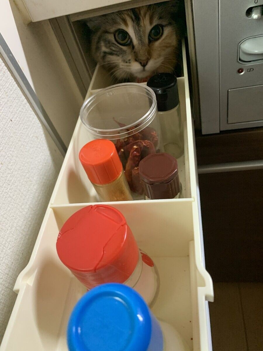 부엌에서 어머니가 비명을 지르신 이유_4.jpg