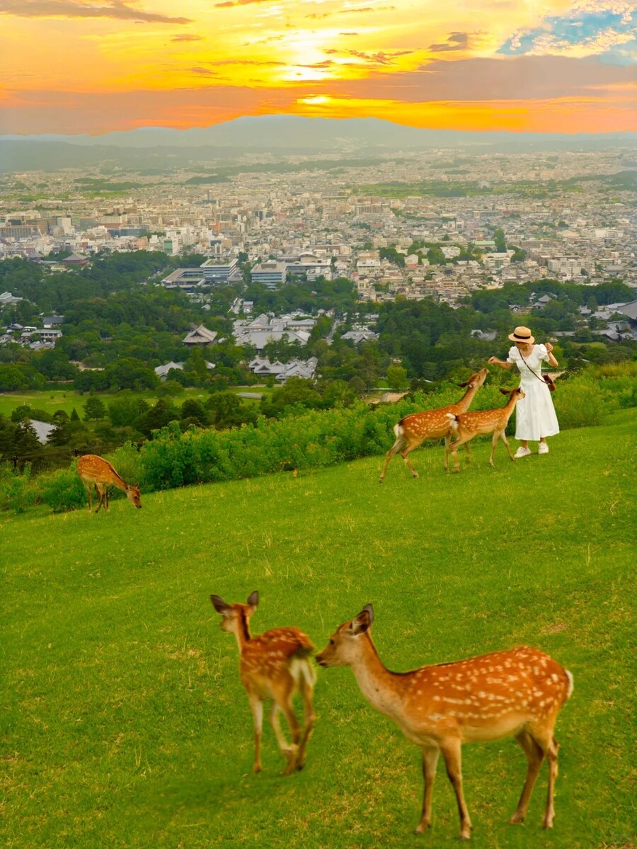 [요모] 가족여행으로 딱 좋은 오사카 3박4일 추천 일정 효에고요카쿠 134만원_2.jpg