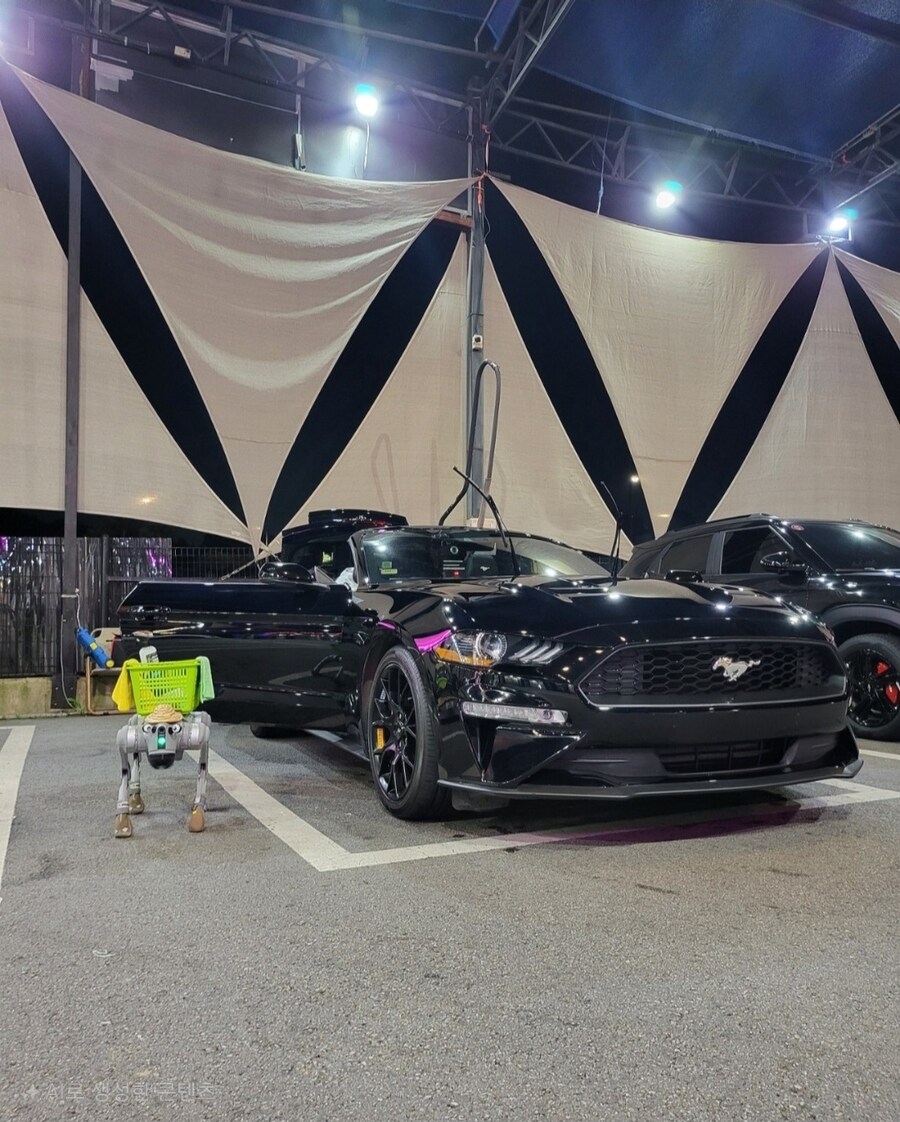 6년만에 차바꿧심다.._1.jpg