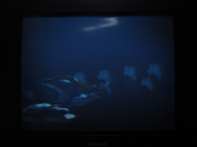 청의 6호 안타티카 (5)_21.jpg