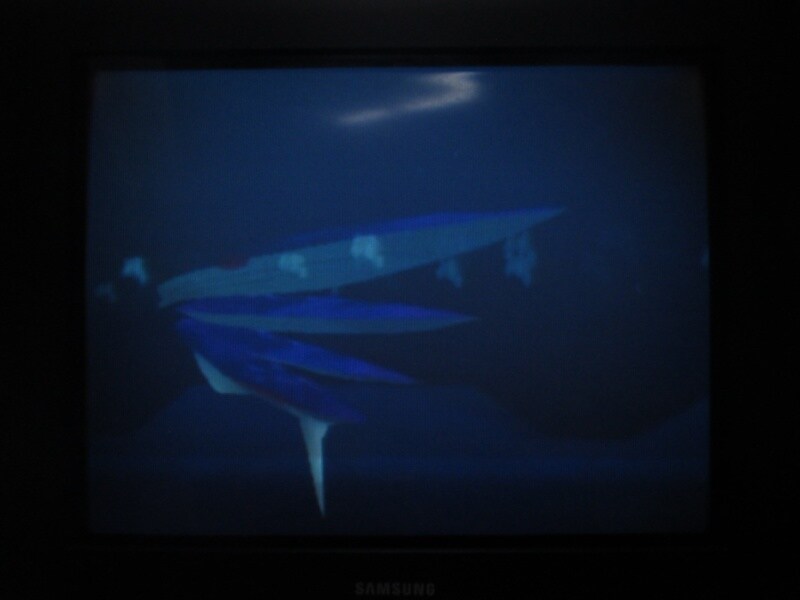 청의 6호 안타티카 (5)_25.jpg