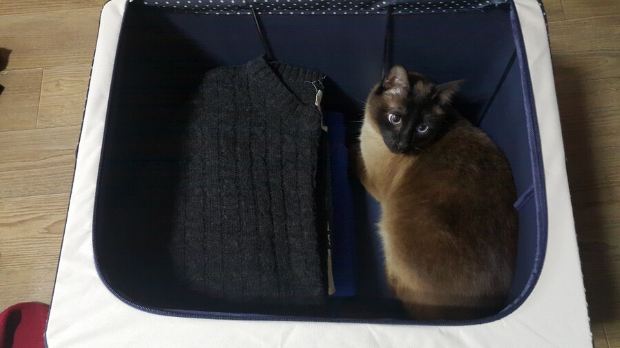 우리집 주인님 고양이별로 돌아 갔다._7.jpg