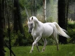 실제로 존재한다는 것이 신비한 세상의 생물들.jpg_24.jpg