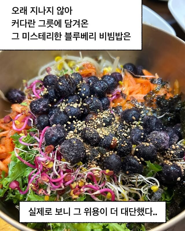 블루베리 비빔밥 먹은 만화 | 인스티즈