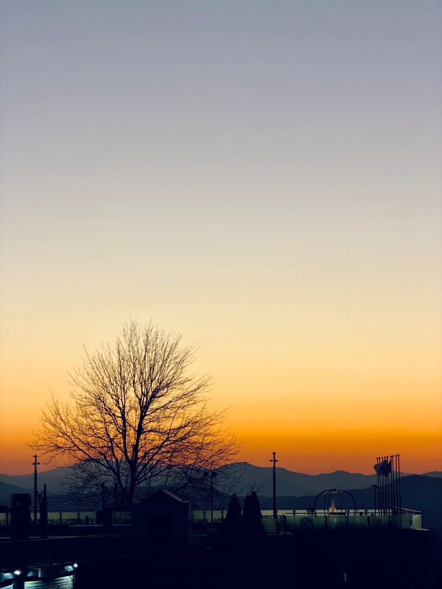 달성군 비슬산 자연휴양림_4.jpeg