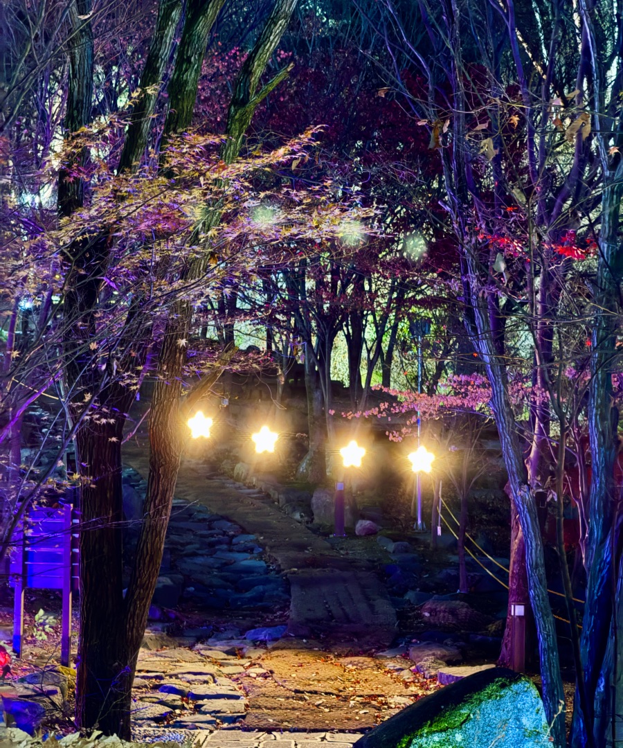 달성군 비슬산 자연휴양림_6.jpeg