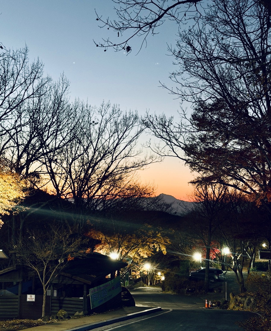 달성군 비슬산 자연휴양림_7.jpeg