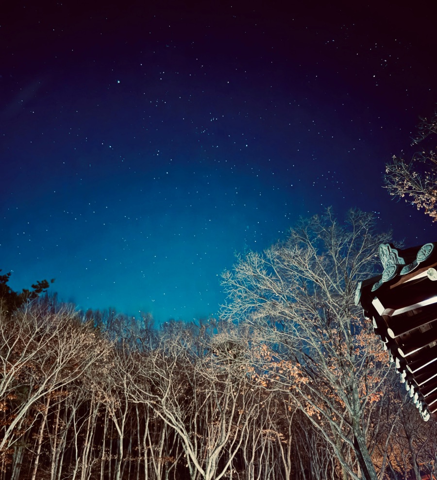 달성군 비슬산 자연휴양림_13.jpeg