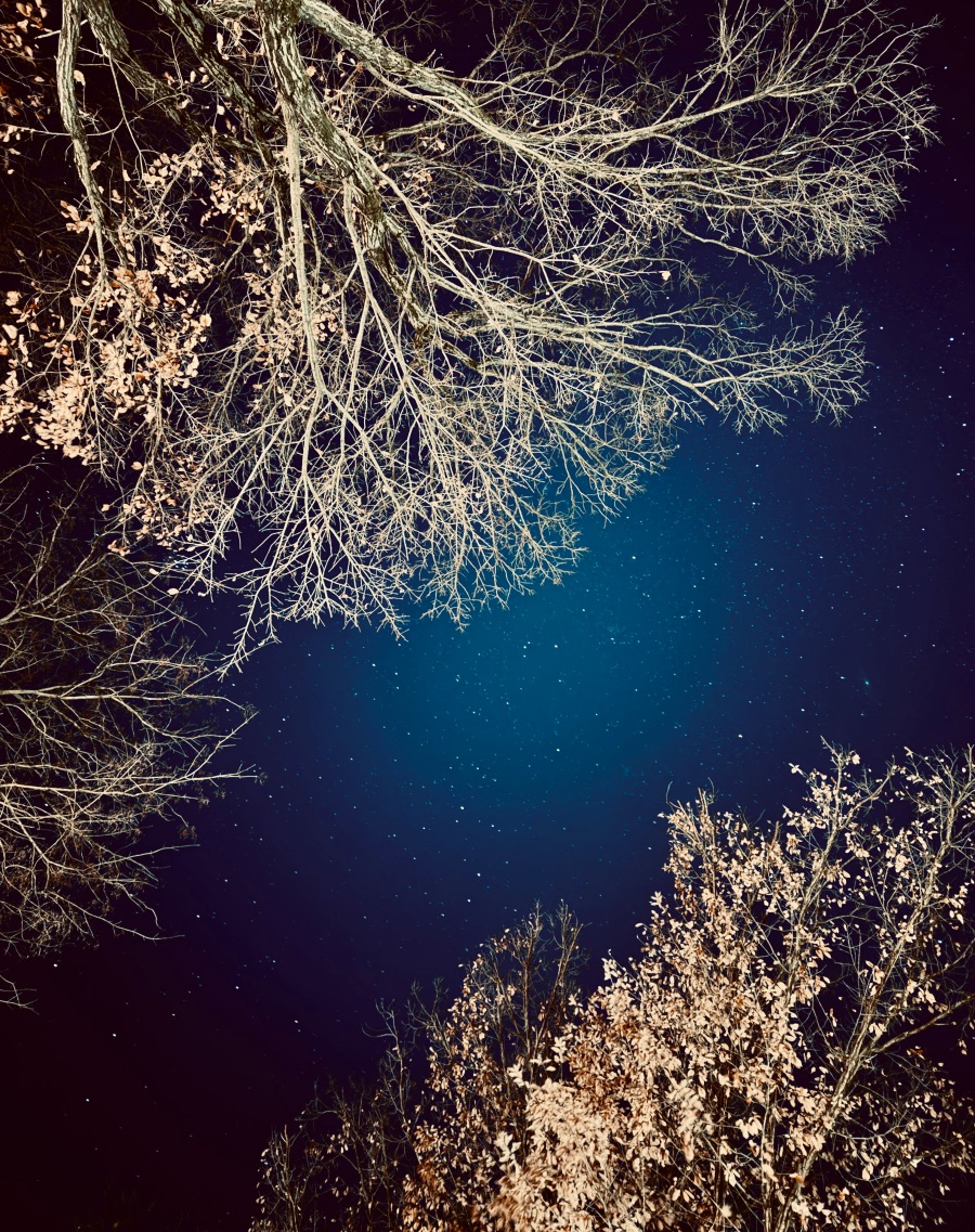 달성군 비슬산 자연휴양림_14.jpeg