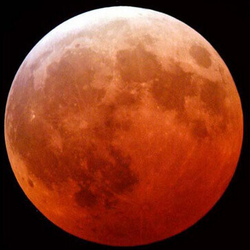 괴담) 달에서 나온 것들_1.jpg