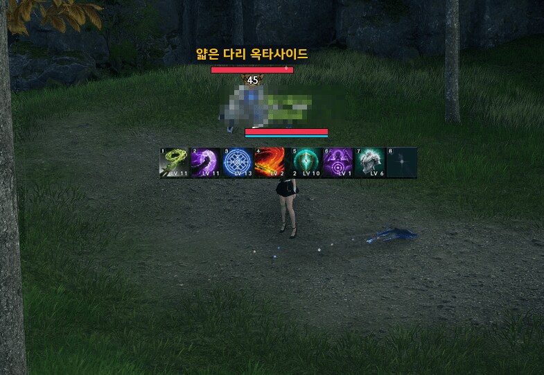 [유틸리티] 스킬 보조 화면 애드온_1.png