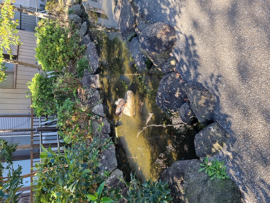 일본 워홀 27일차 시모키타자와 탐방 로지우라 카레 사무라이 & 모스크 커피_4.jpg