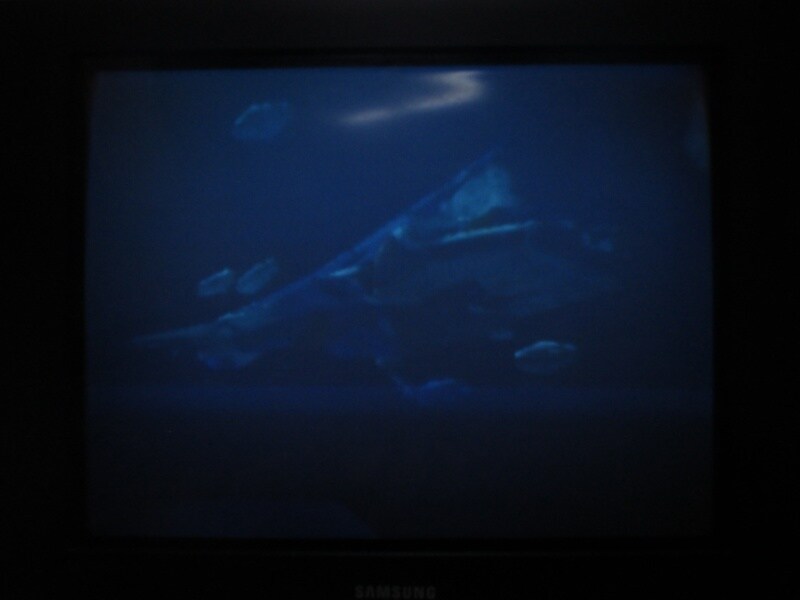 청의 6호 안타티카 (8)_32.jpg