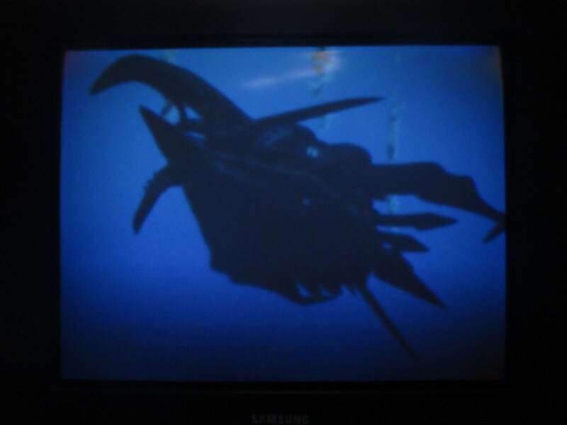 청의 6호 안타티카 (8)_34.jpg