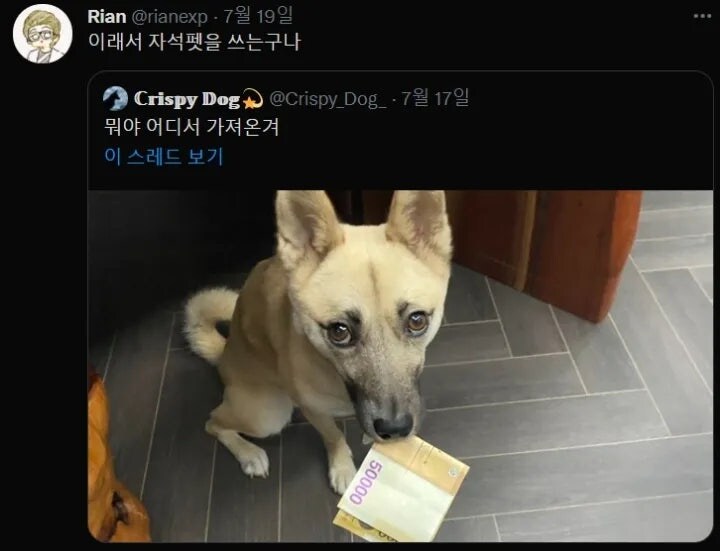 강아지를 키우는 가장 큰 이유.jpg_1.jpg