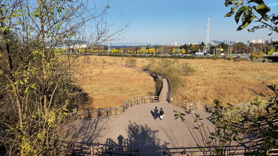 대구 성서 계대 12000원 짜리 뷔페_22.jpg