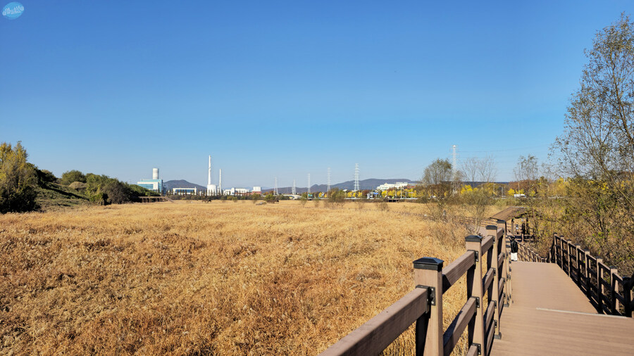 대구 성서 계대 12000원 짜리 뷔페_23.jpg