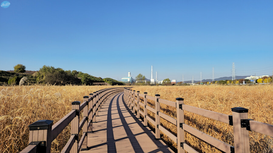 대구 성서 계대 12000원 짜리 뷔페_24.jpg