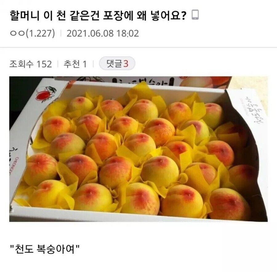 할머니 이 천같은 건 포장에 왜 넣어요?_1.jpg