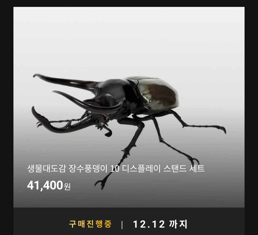 [반남코몰] 생물대도감 장수풍뎅이 10 디스플레이 스탠드 세트_1.jpg