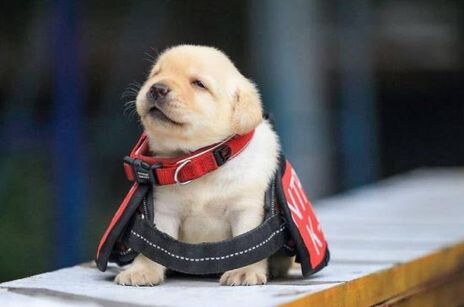 크툴루신화)약혐)외계인과 외신 하드 카운터_6.jpg