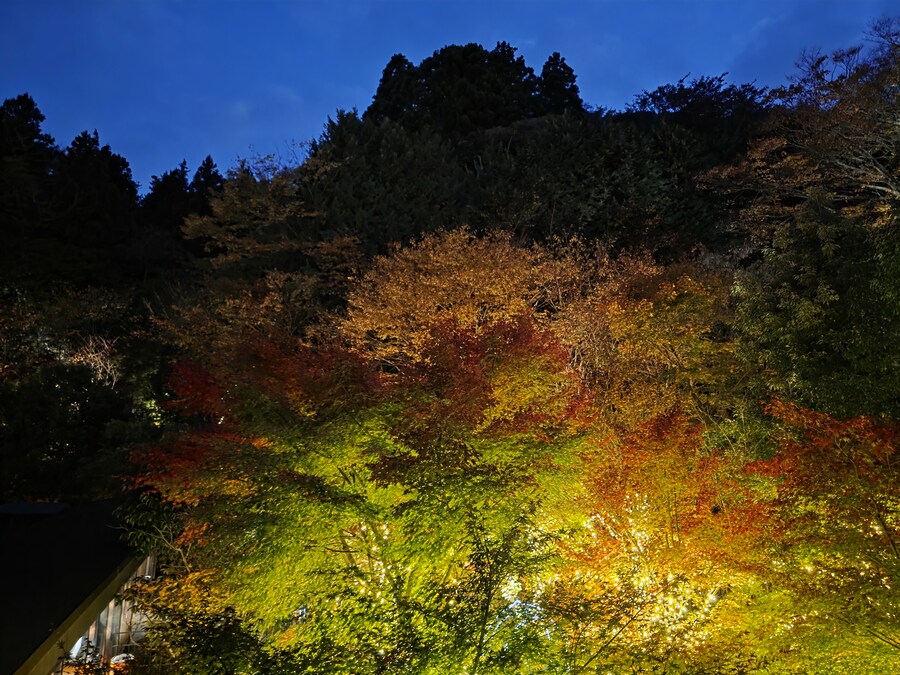 하코네 텐유 석식과 조식뷔페 후기_1.jpg