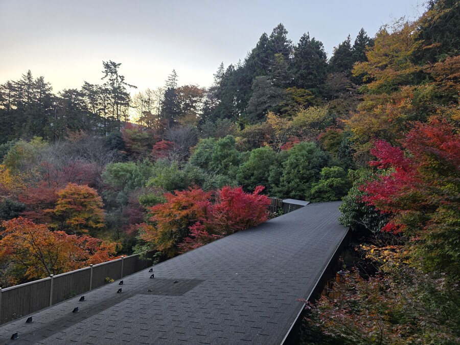 하코네 텐유 석식과 조식뷔페 후기_23.jpg