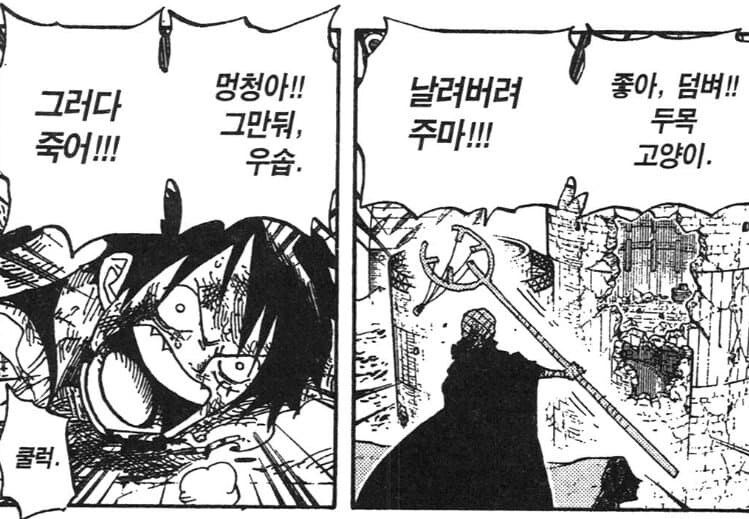 원피스 루피가 전투시 우선 보호하는 동료들_9.jpg