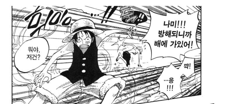 원피스 루피가 전투시 우선 보호하는 동료들_11.jpg