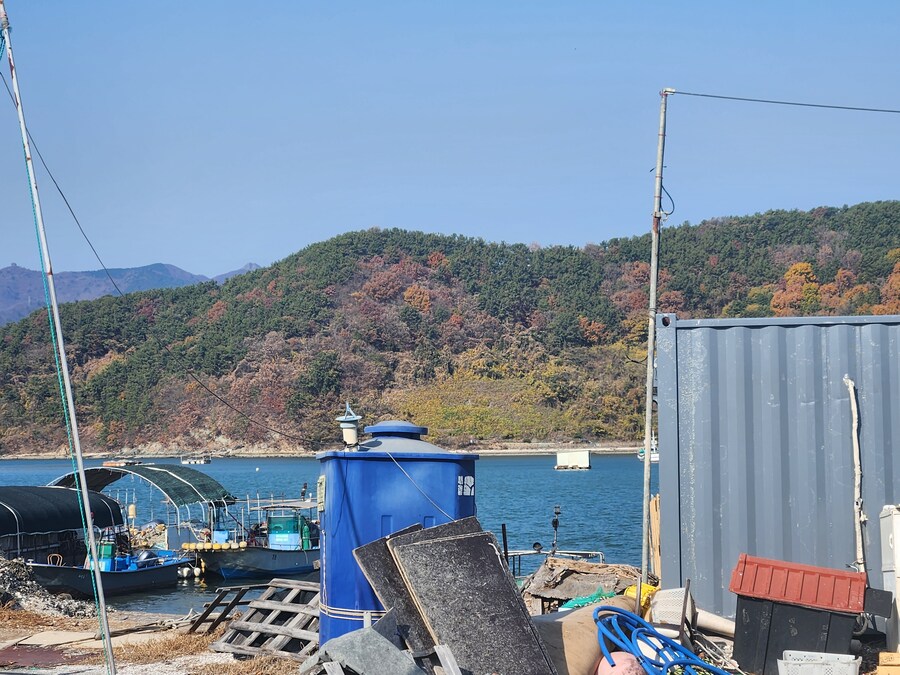 김장은 정말이지 고진 노력의 결정체..._1.jpg