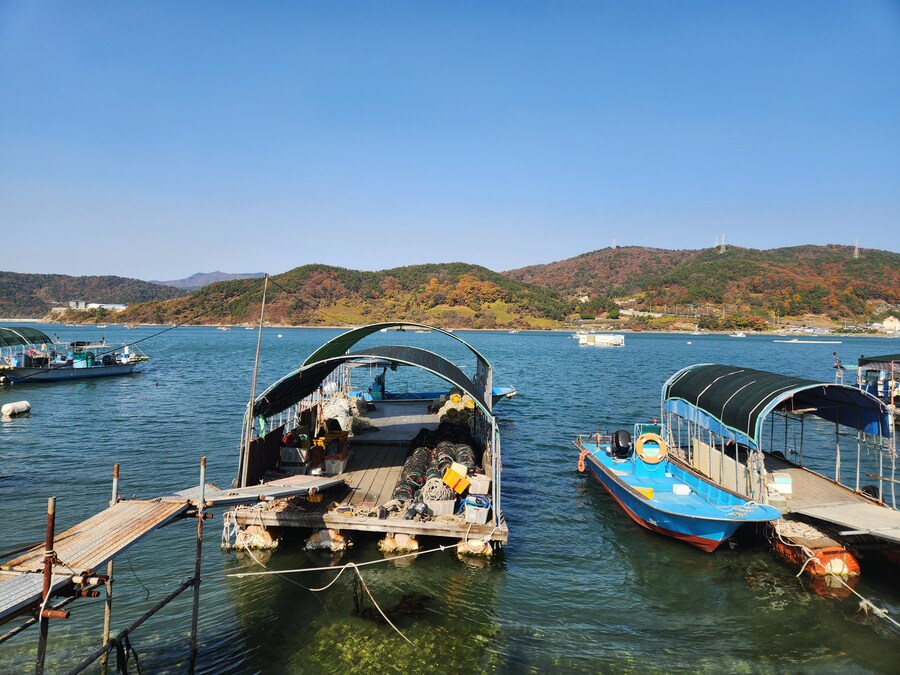 김장은 정말이지 고진 노력의 결정체..._2.jpg