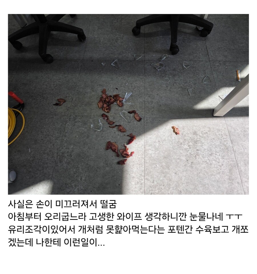 와이프가 싸준 도시락 맛없어서 엎었다_2.jpg