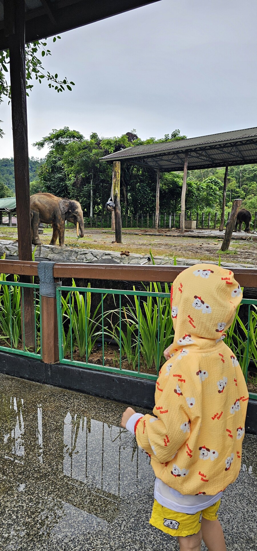 밖에서 밥 먹습니다 - 코타키나발루, REDFISH_7.jpg