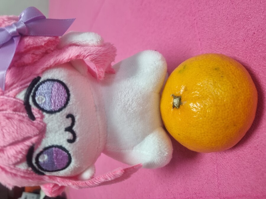 Doro) 이만화보고 인형으로 주문했는데 별일은 안일아나네.._2.jpg