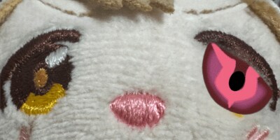 20대 중반이 되어가면서 자랑할만한 점_1.png